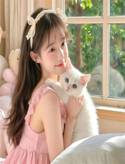 卫视热播：魔怪车小队有哪些精彩看点？亮点情节详细专业解析